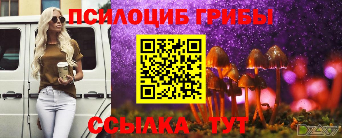 Псилоцибиновые грибы Psilocybe Назарово